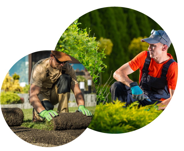 Landscaping employee software